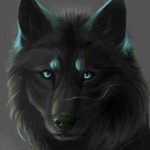 Meet your Posher, Geno